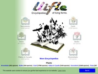 http://www.llifle.com/Encyclopedia/CACTI/Family/Cactaceae/